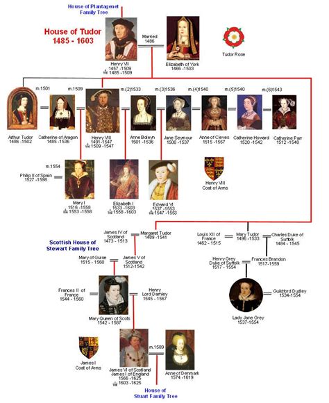 dinastia tudor da william hodgkins|house of tudors family tree.